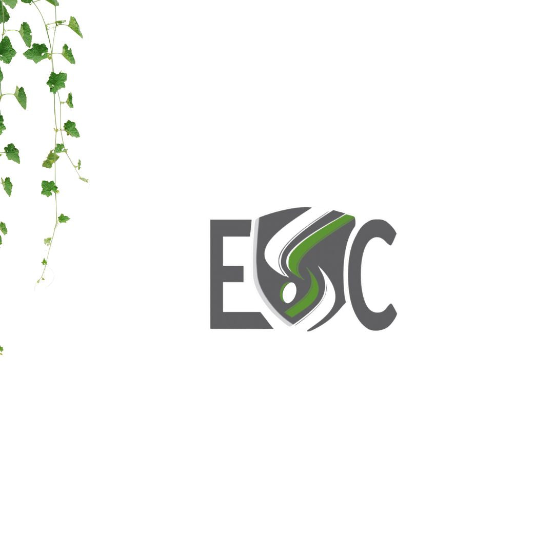 autocollant ecole saint-charles