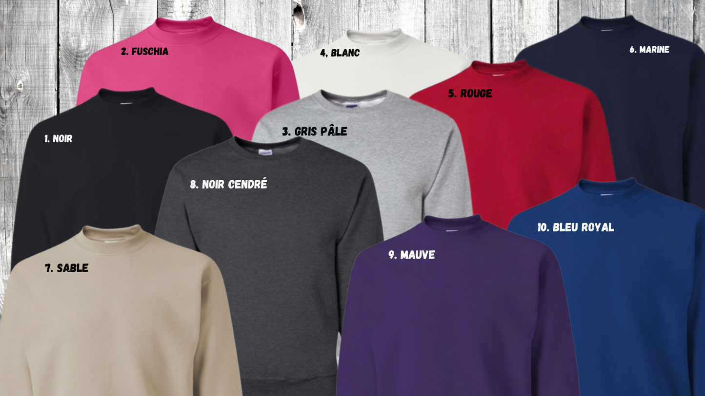 choix couleurs crewneck bon pasteur