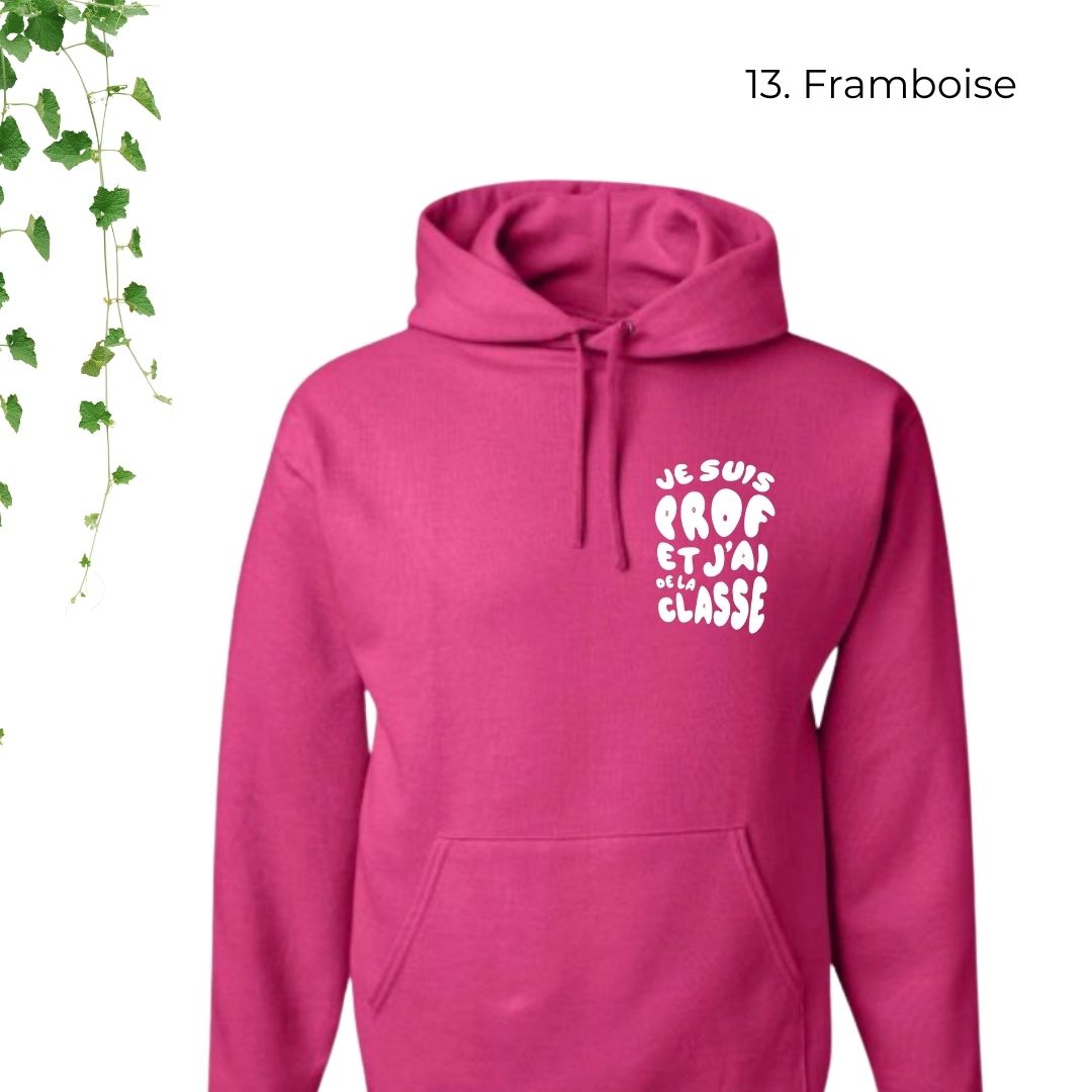 hoodie rose pour enseignants je suis prof et jai de la classe