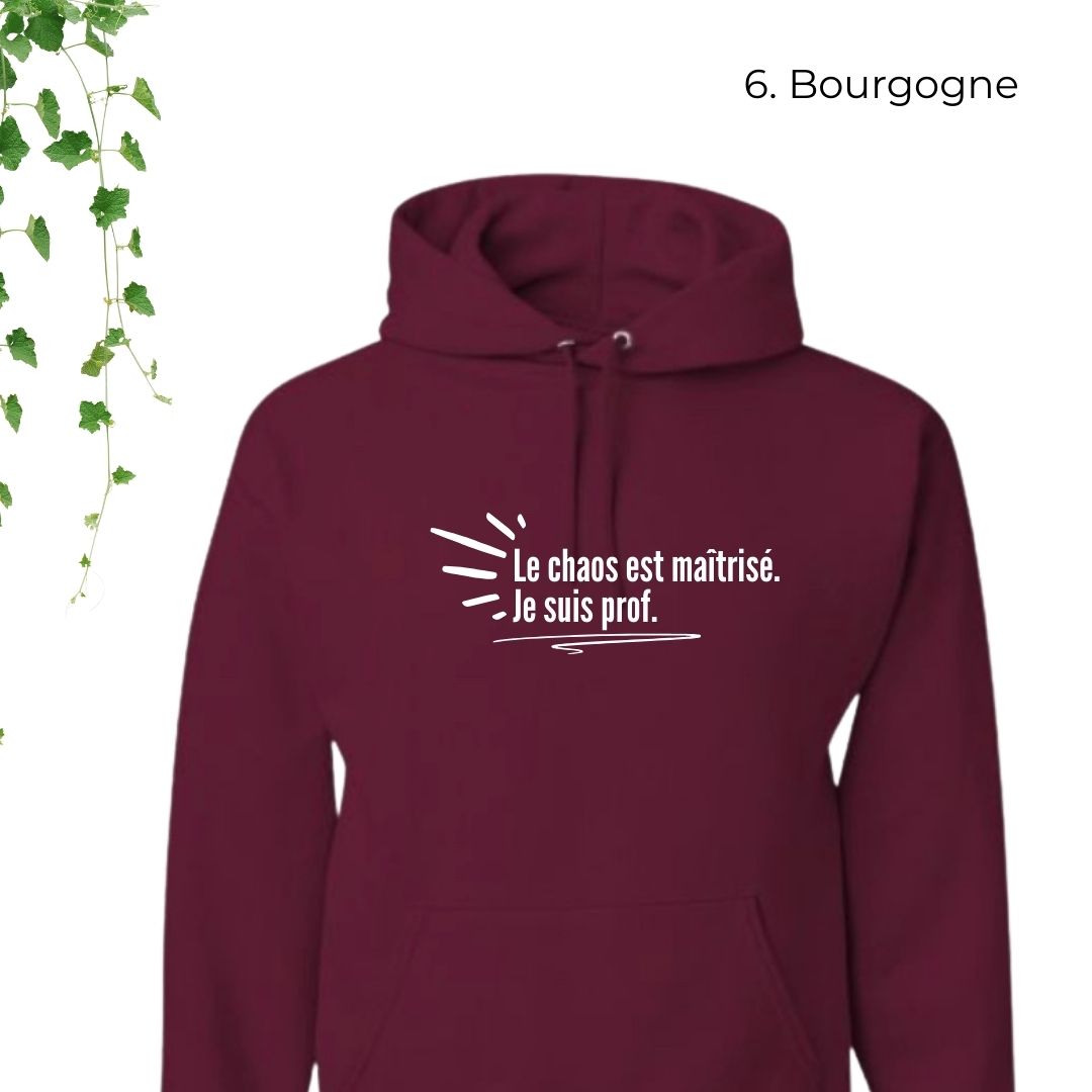 coton ouaté bourgogne pour enseignant le chaos est maîtrisé je suis prof