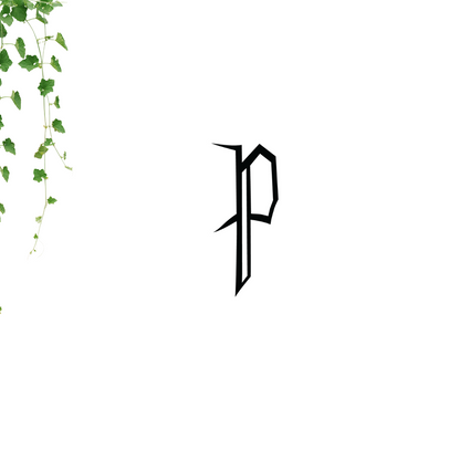 Ajout Choix logo Bon Pasteur