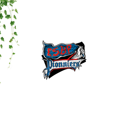 Ajout Choix logo Bon Pasteur