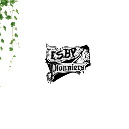 Ajout Choix logo Bon Pasteur