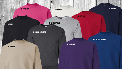 choix couleurs crewneck bon pasteur