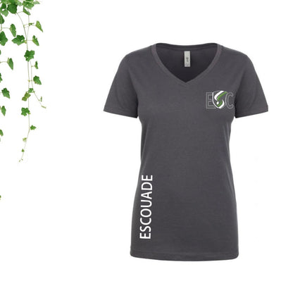 tshirt gris col en v ecole saint charles