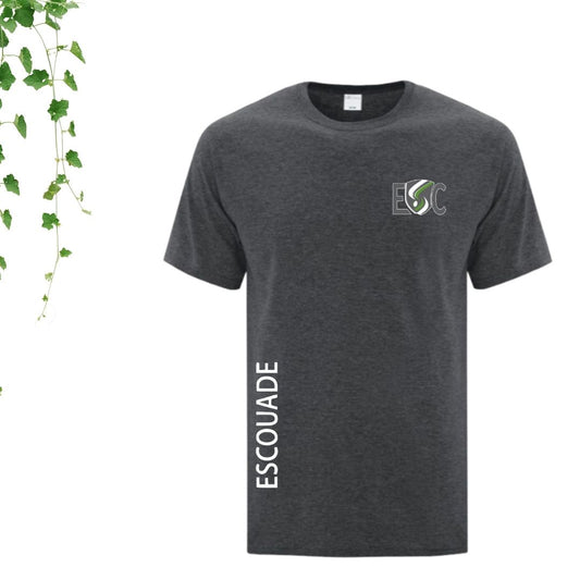 tshirt gris ecole saint charles